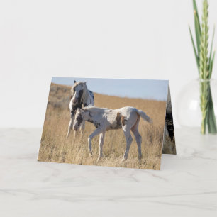 Thor en Thudra Bedankkaart