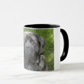 Thor Mastiff Mok (Voorkant rechts)