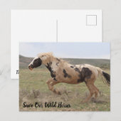 Thor McCullough Peaks Briefkaart (Voorkant / Achterkant)