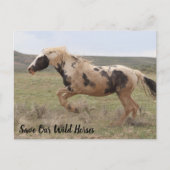 Thor McCullough Peaks Briefkaart (Voorkant)