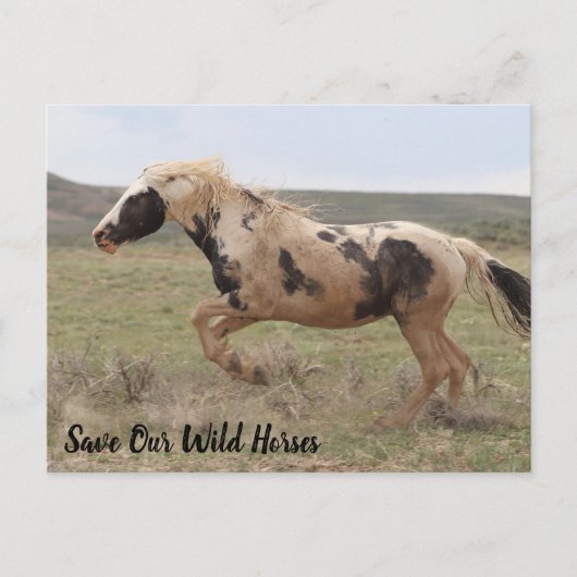 Thor McCullough Peaks Briefkaart (Voorkant)