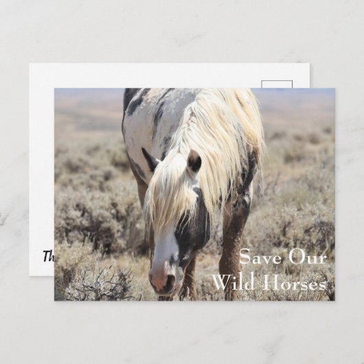 Thor McCullough Peaks Briefkaart (Voorkant / Achterkant)