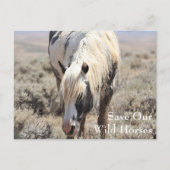 Thor McCullough Peaks Briefkaart (Voorkant)