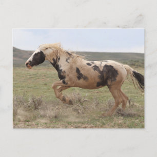 Thor McCullough Peaks Briefkaart