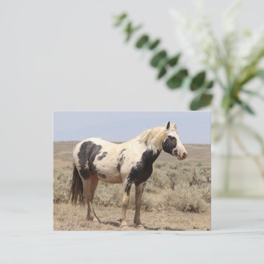 Thor McCullough Peaks Wild Horse Briefkaart (Staand voorkant)