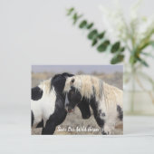 Thor McCullough Peaks Wild Horse Briefkaart (Staand voorkant)