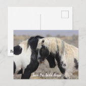 Thor McCullough Peaks Wild Horse Briefkaart (Voorkant / Achterkant)