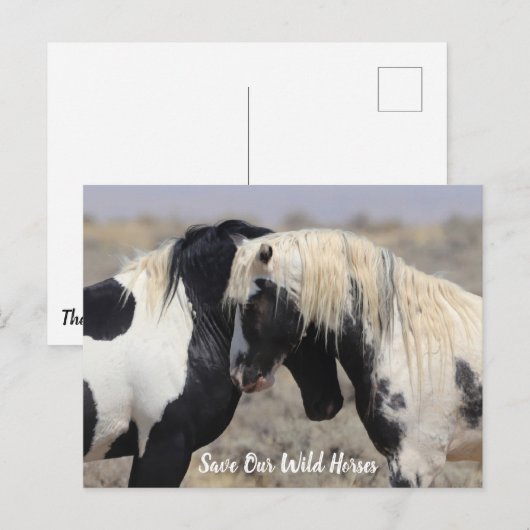 Thor McCullough Peaks Wild Horse Briefkaart (Voorkant / Achterkant)