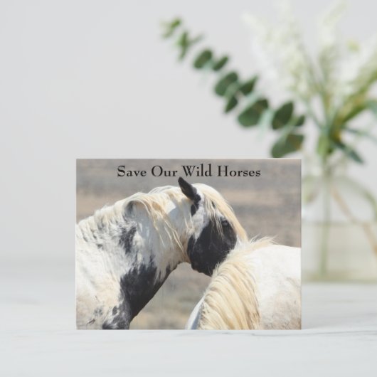 Thor McCullough Peaks Wild Horse Briefkaart (Staand voorkant)