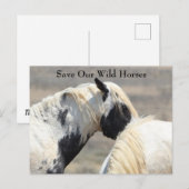 Thor McCullough Peaks Wild Horse Briefkaart (Voorkant / Achterkant)