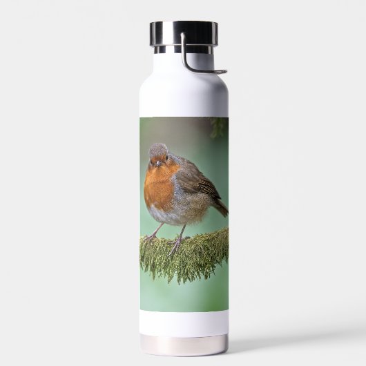 Thor thermale fles met een foto van een robin (Links)