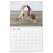 Thor & Thora op McCullough Peaks Wilde Paarden Kalender (Mar 2026)