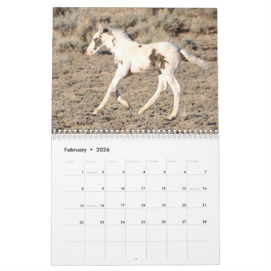 Thor & Thora op McCullough Peaks Wilde Paarden Kalender (Feb 2026)