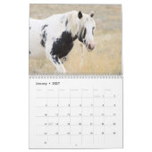 Thor & Thora op McCullough Peaks Wilde Paarden Kalender (Jan 2027)