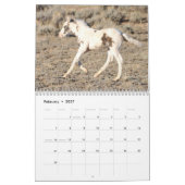 Thor & Thora op McCullough Peaks Wilde Paarden Kalender (Feb 2027)