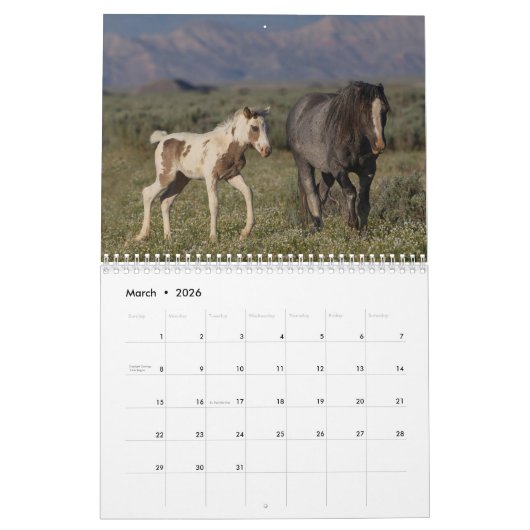 Thor, Wild Paard Kalender (Mar 2026)