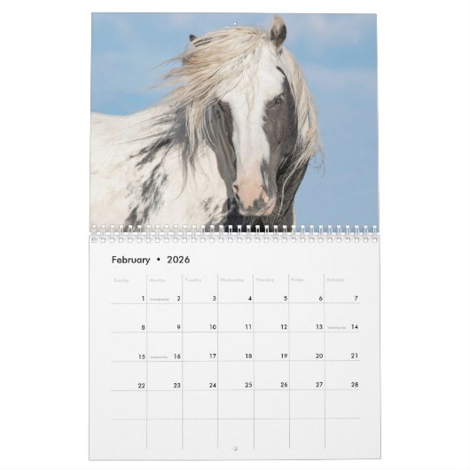 Thor, Wild Paard Kalender (Feb 2026)
