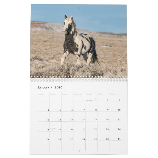 Thor, Wild Paard Kalender (Jan 2026)