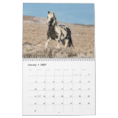 Thor, Wild Paard Kalender (Jan 2027)
