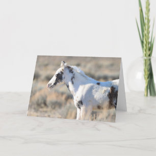 Thora van McCullough Peaks Bedankkaart