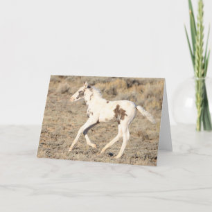 Thora van McCullough Peaks Bedankkaart