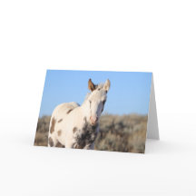 Thora van McCullough Peaks