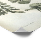 Thoracic en Lumbar Vertebrae Chiropractic Poster (Hoek)