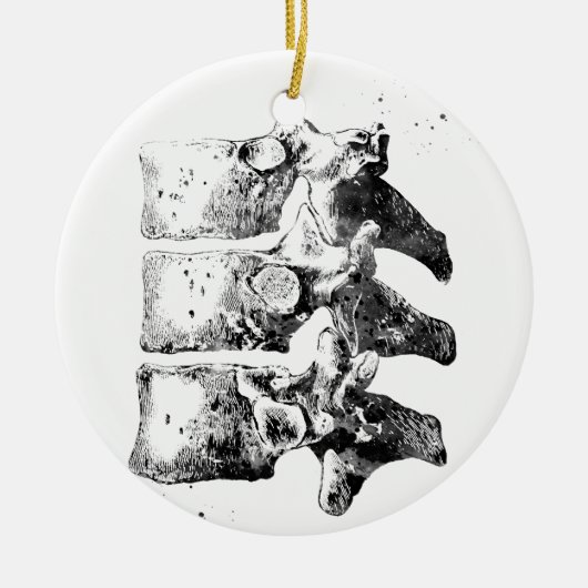 Thoracische wervels keramisch ornament (Voorkant)