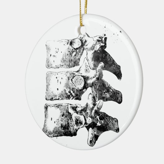 Thoracische wervels keramisch ornament (Links)