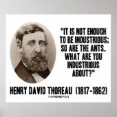 Thoreau is niet genoeg om zo moeilijk te zijn, ook poster (Voorkant)