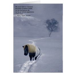 Thoreau-kaart "Reawakening"