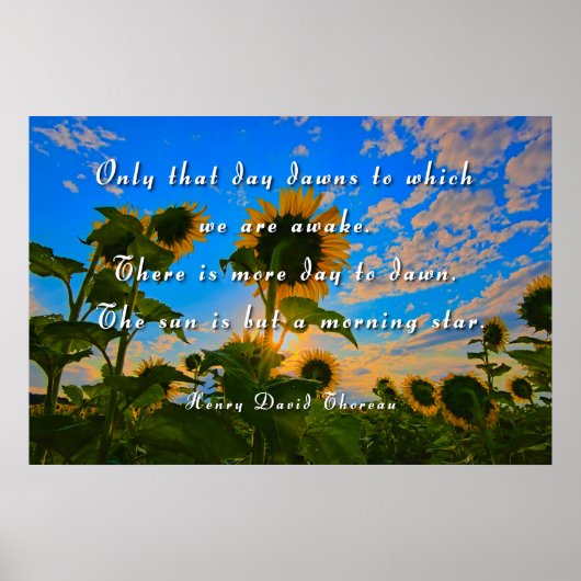 Thoreau, Morning Star Poster (Voorkant)