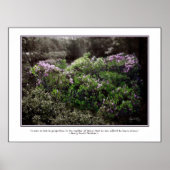 Thoreau Quote Poster - Sheep Laurel (Voorkant)