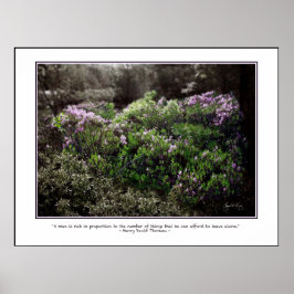 Thoreau Quote Poster - Sheep Laurel