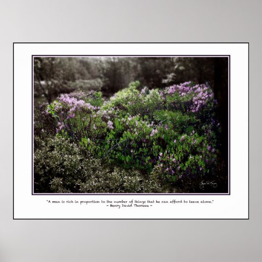 Thoreau Quote Poster - Sheep Laurel (Voorkant)