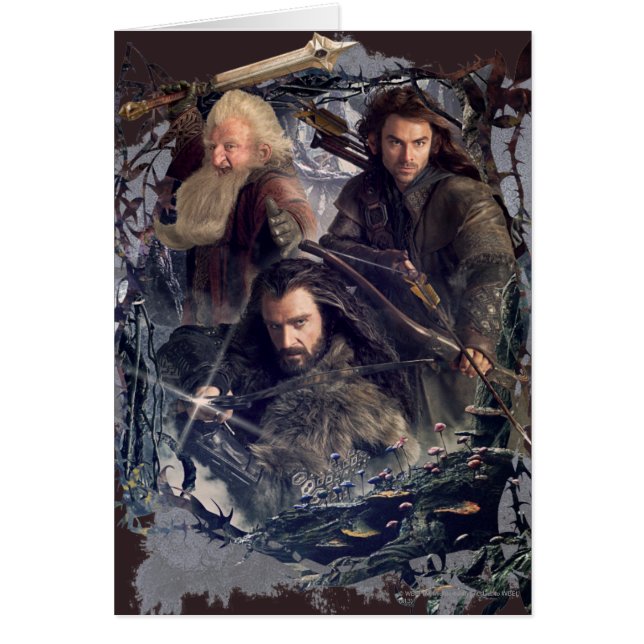Thorin, Kili en Balin Grafisch (Voorkant)