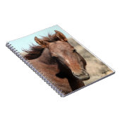 Thorin van zandwasbak notitieboek (Rechterzijde)