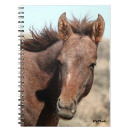 Thorin van zandwasbak notitieboek