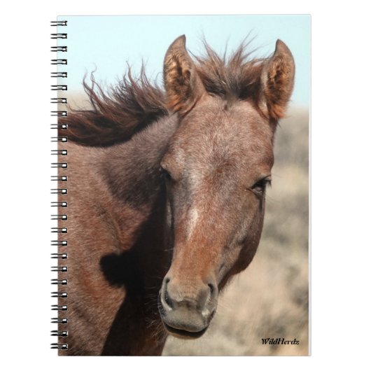 Thorin van zandwasbak notitieboek (Voorkant)