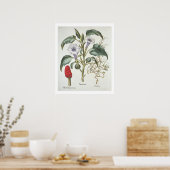 Thorn Apple van de 'Hortus Eystettensis' door Bas Poster (Keuken)