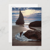 Thorn-Shaped-zeebrak | Face Rock Wayside, OF Briefkaart (Voorkant / Achterkant)