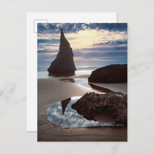 Thorn-Shaped-zeebrak | Face Rock Wayside, OF Briefkaart (Voorkant / Achterkant)