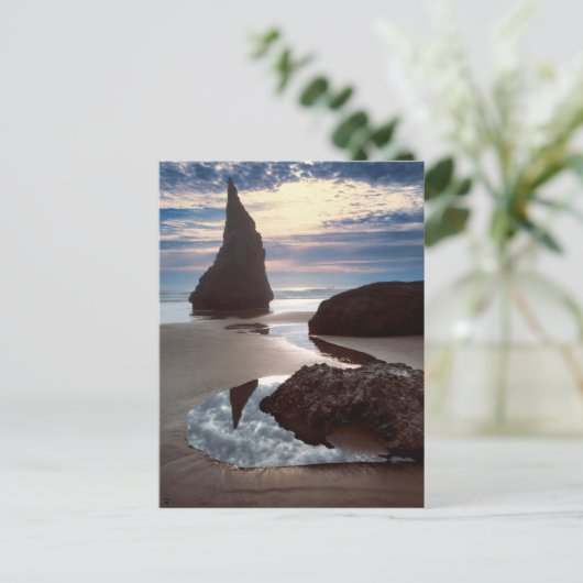 Thorn-Shaped-zeebrak | Face Rock Wayside, OF Briefkaart (Staand voorkant)