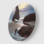 Thorn-Shaped-zeebrak | Face Rock Wayside, OF Grote Klok (Hoek)