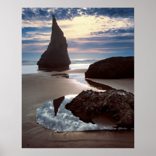 Thorn-Shaped-zeebrak | Face Rock Wayside, OF Poster (Voorkant)