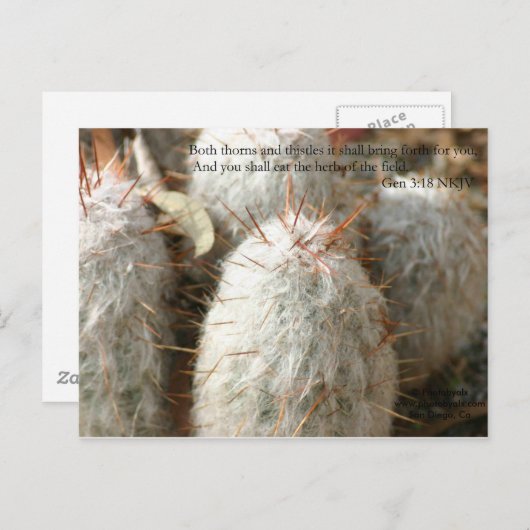 Thorns Briefkaart (Voorkant / Achterkant)