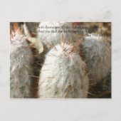 Thorns Briefkaart (Voorkant)