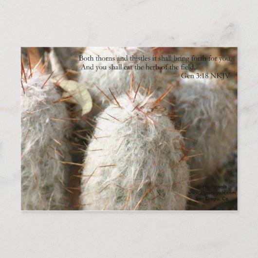 Thorns Briefkaart (Voorkant)