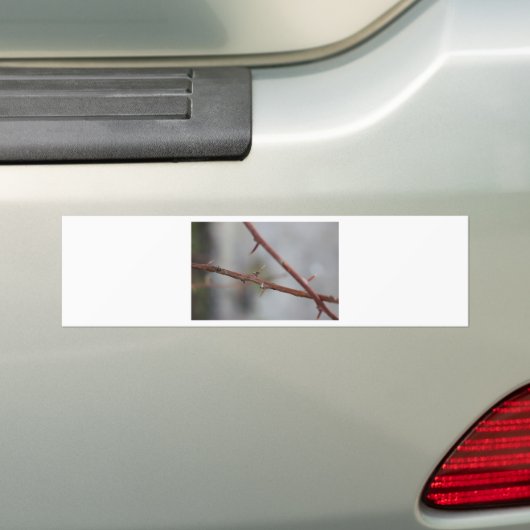 Thorns Bumpersticker (Op auto)
