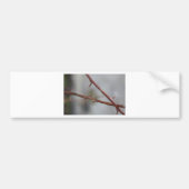 Thorns Bumpersticker (Voorkant)